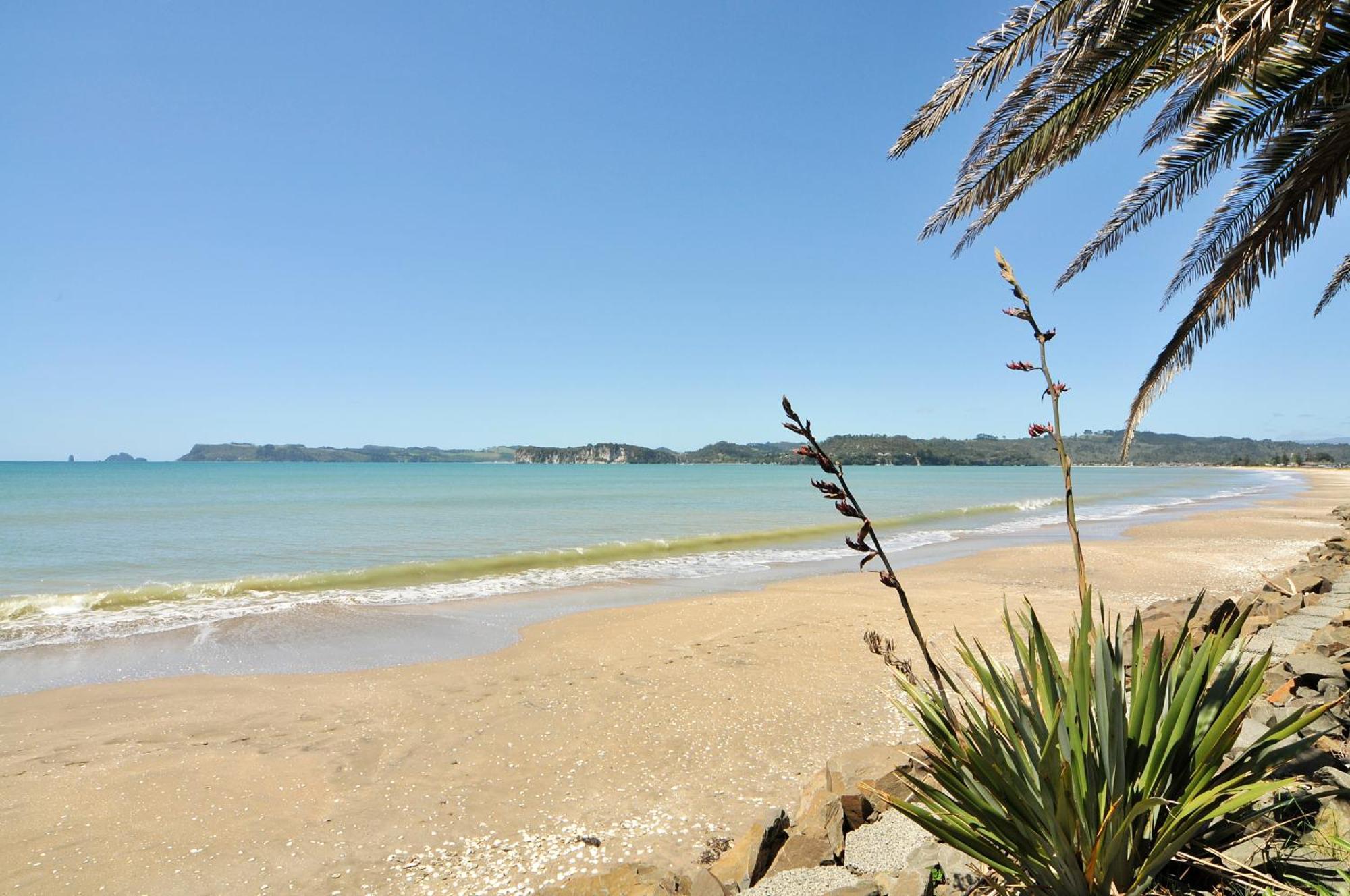 Whitianga Campground Dış mekan fotoğraf