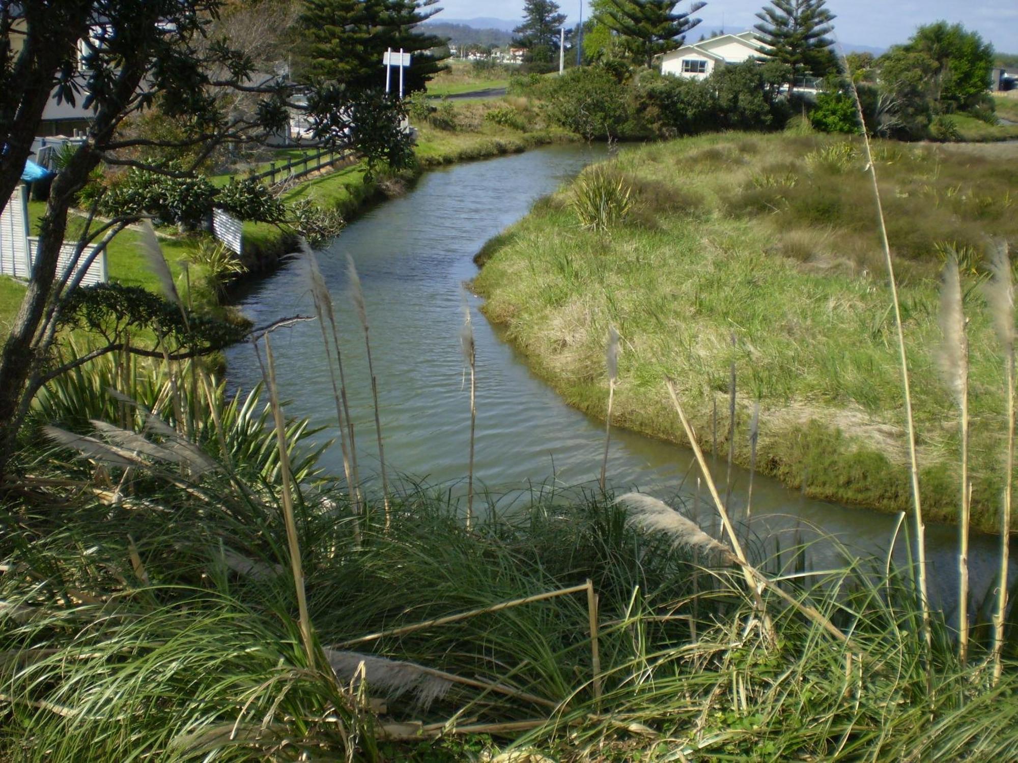 Whitianga Campground Dış mekan fotoğraf