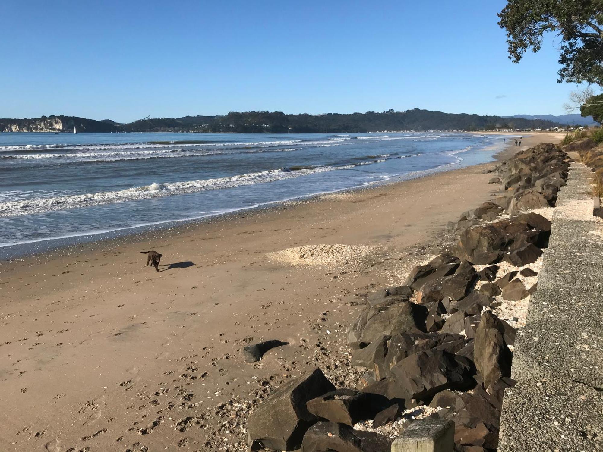 Whitianga Campground Dış mekan fotoğraf